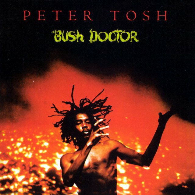Vinil - Peter Tosh - Bush Doctor