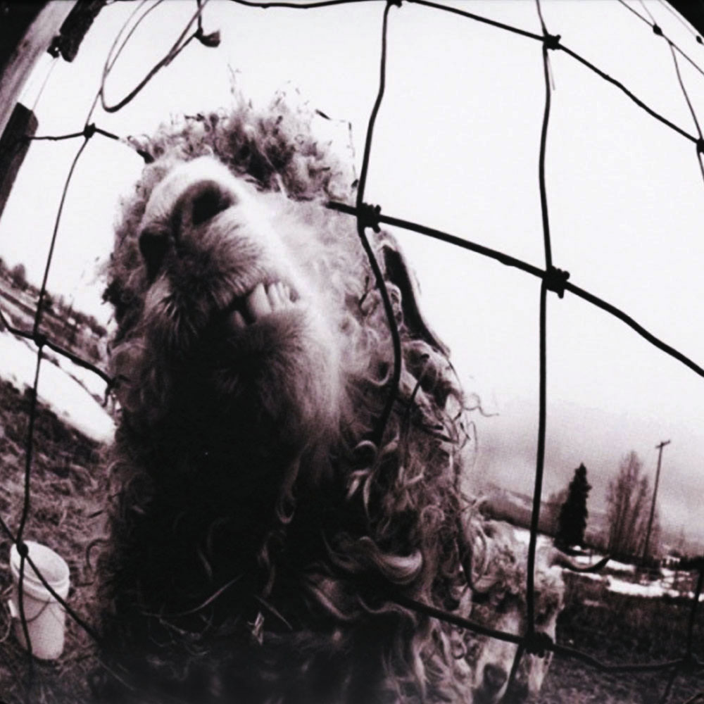 CD - Pearl Jam - VS