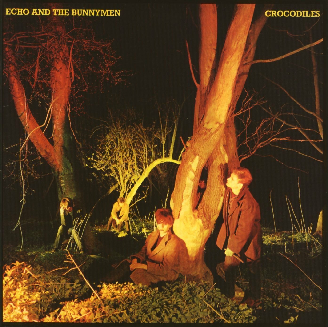 Vinil - Echo and the Bunnymen - Crocodiles