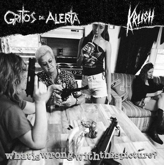 Vinil Compacto - Gritos de Alerta /Krush - What Is Wrong With This Picture? (Holland)