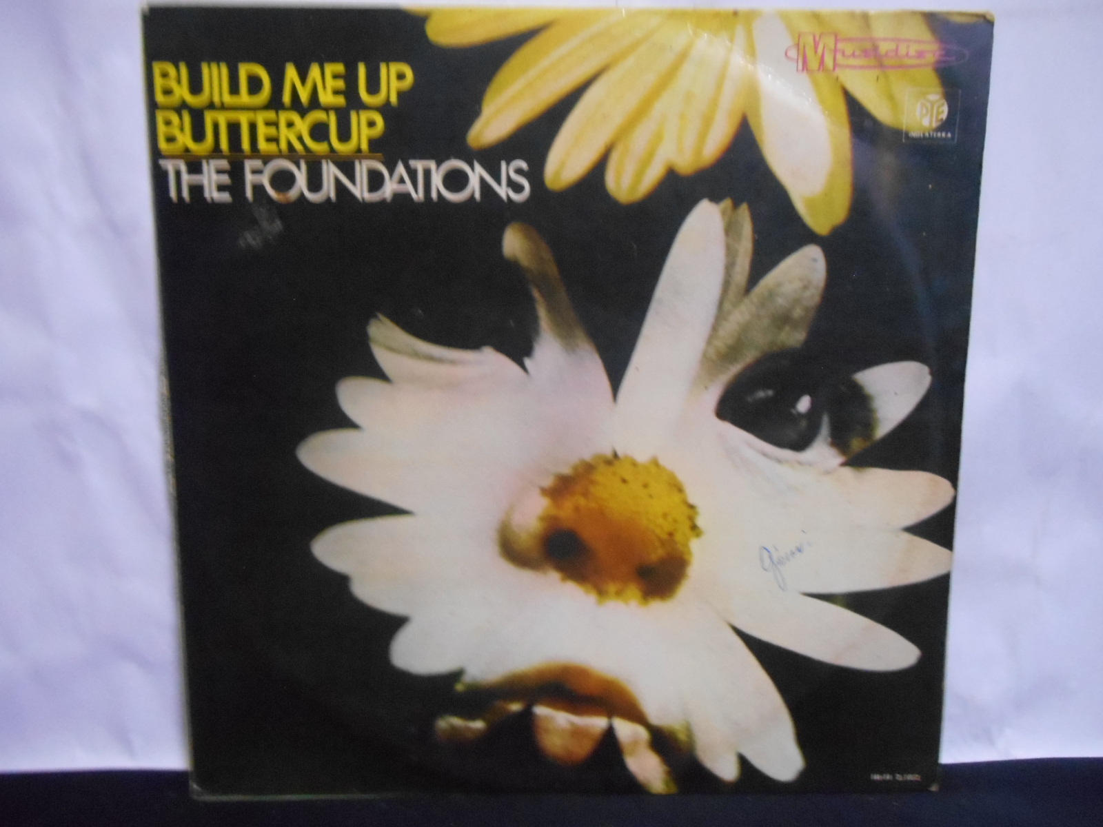 Vinil - Foundations the - Build me Up Buttercup