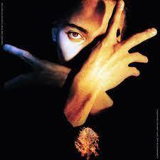 Vinil - Terence Trent DArby - Neither Fish Nor Flesh
