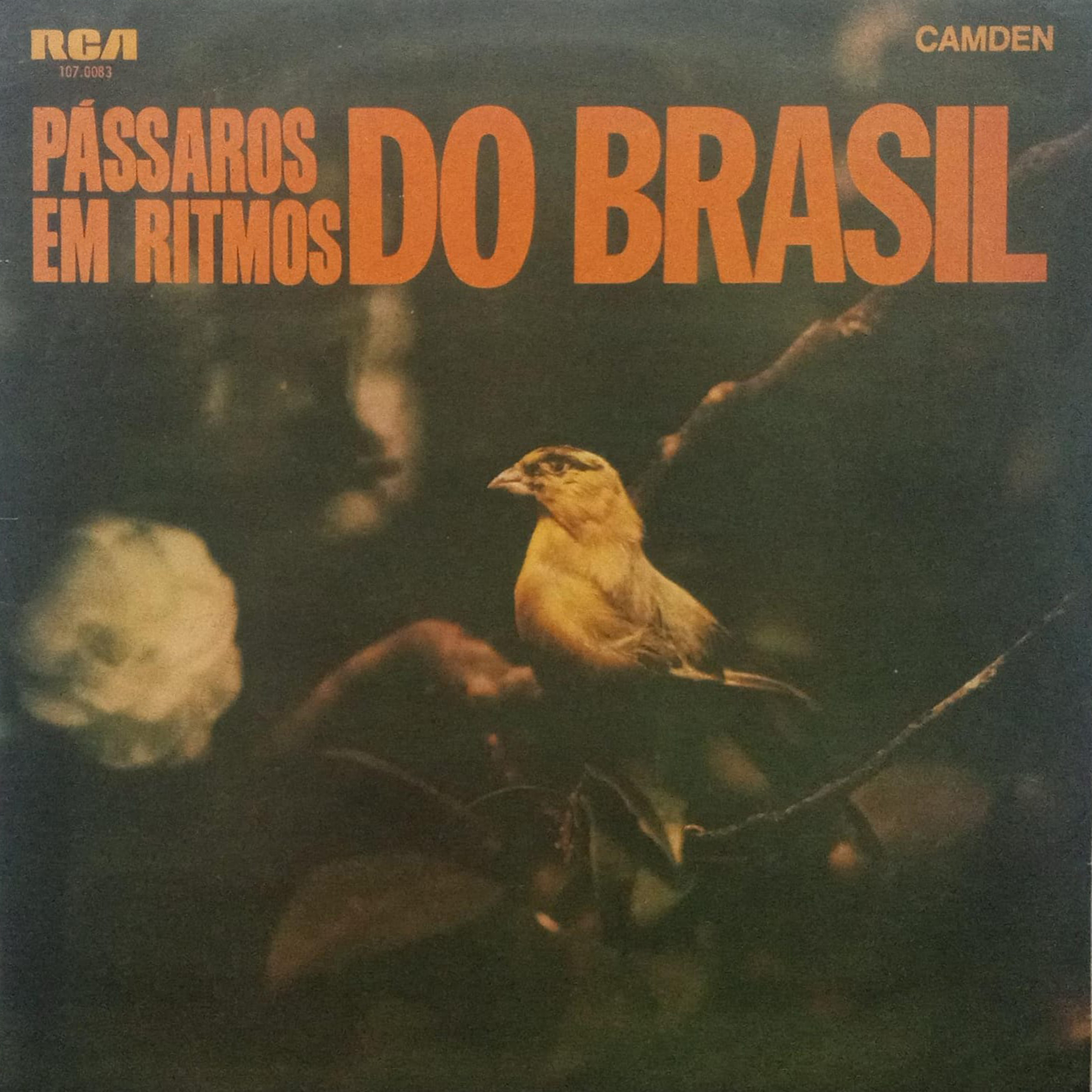 Vinil - Passaros em Ritmos Do Brasil