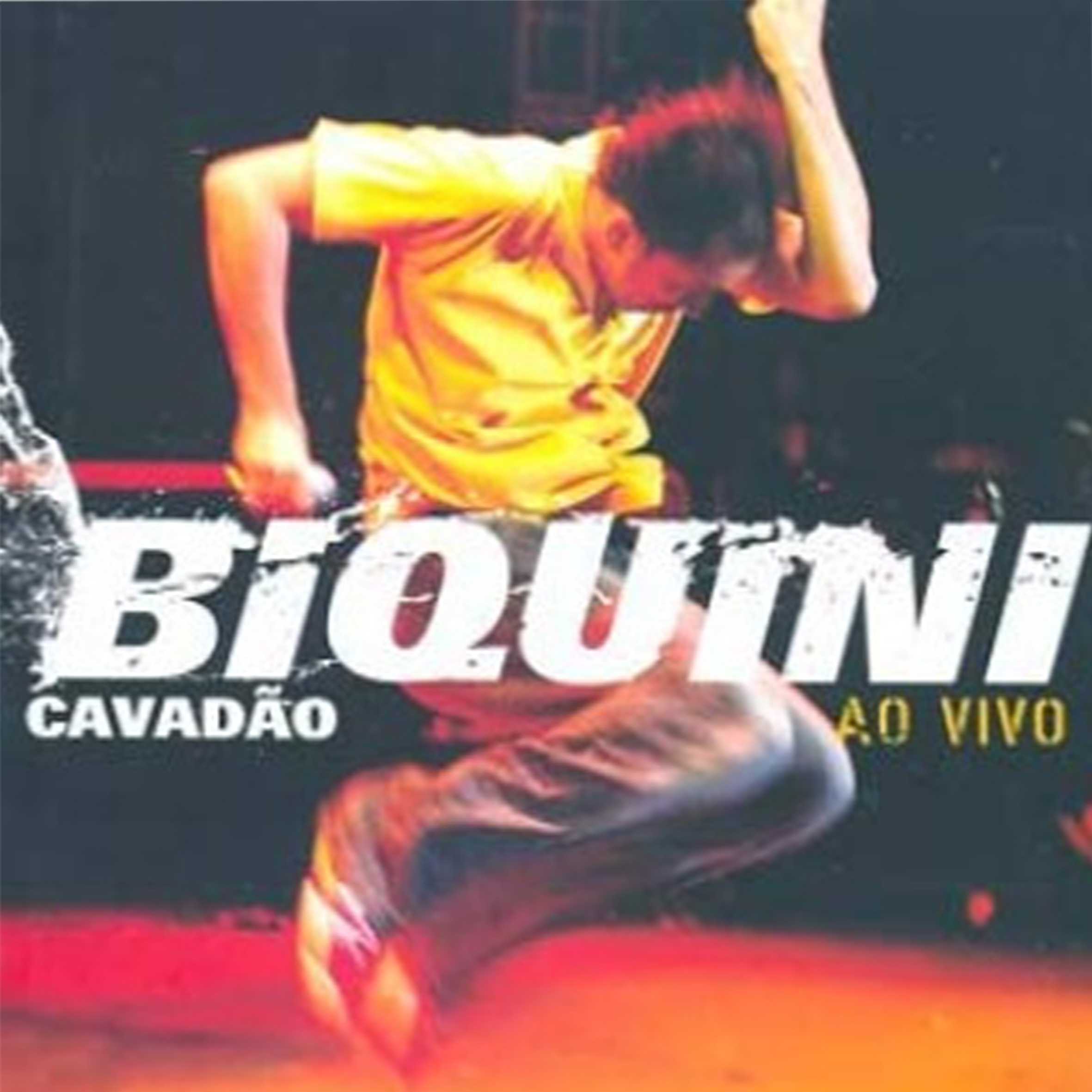 CD - Biquini Cavadão - Ao Vivo