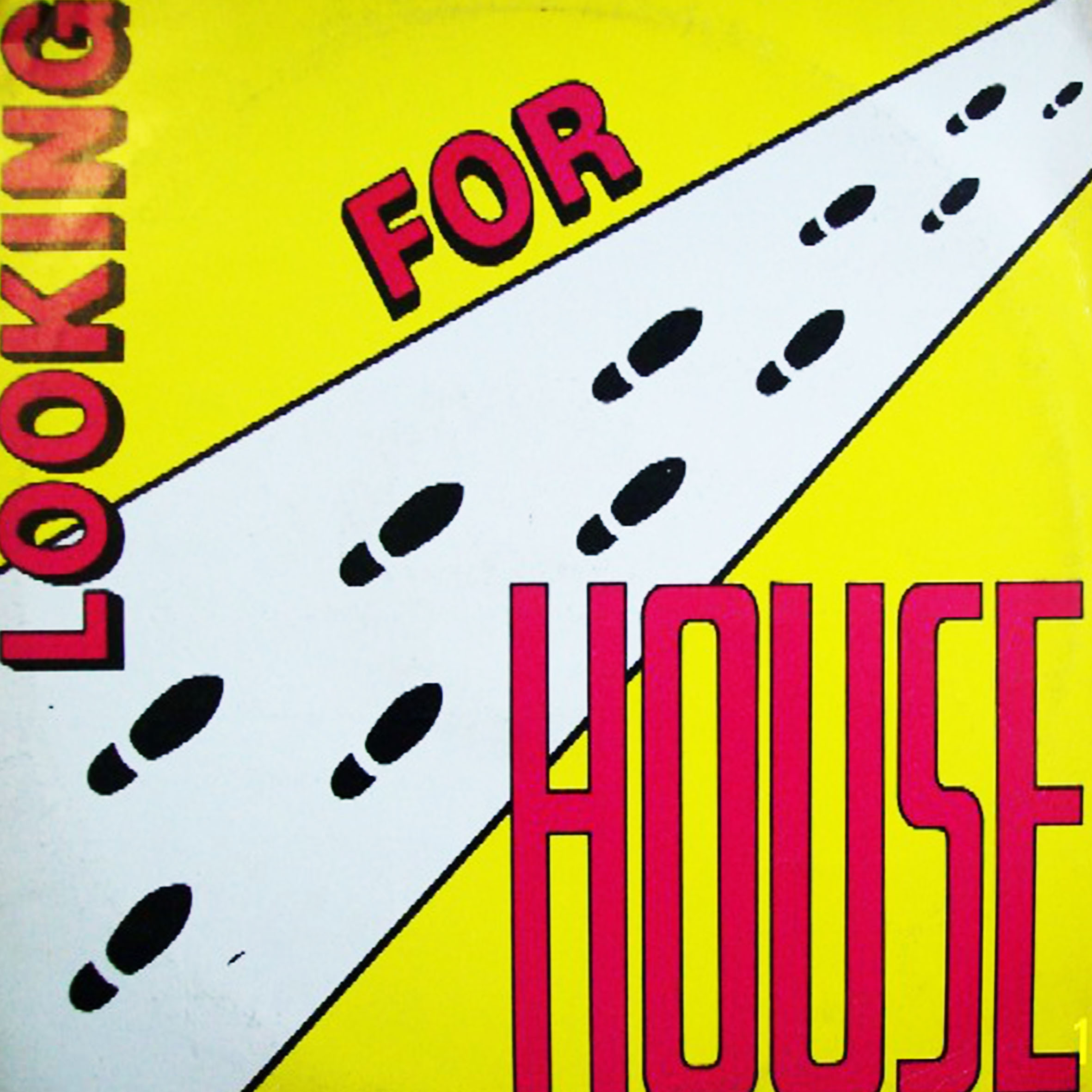 Vinil - Looking For House