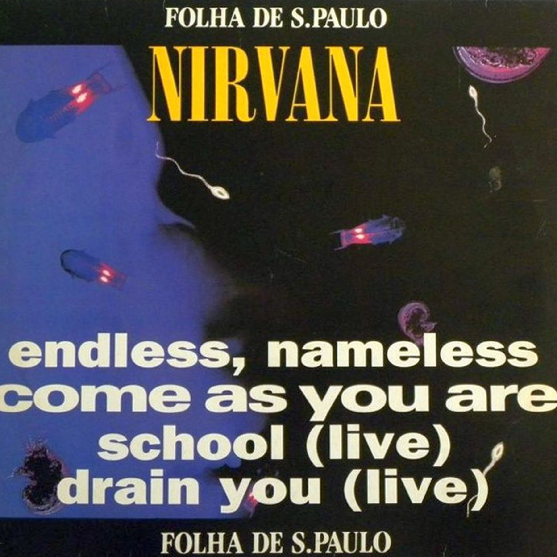 Vinil - Nirvana - Endless Nameless