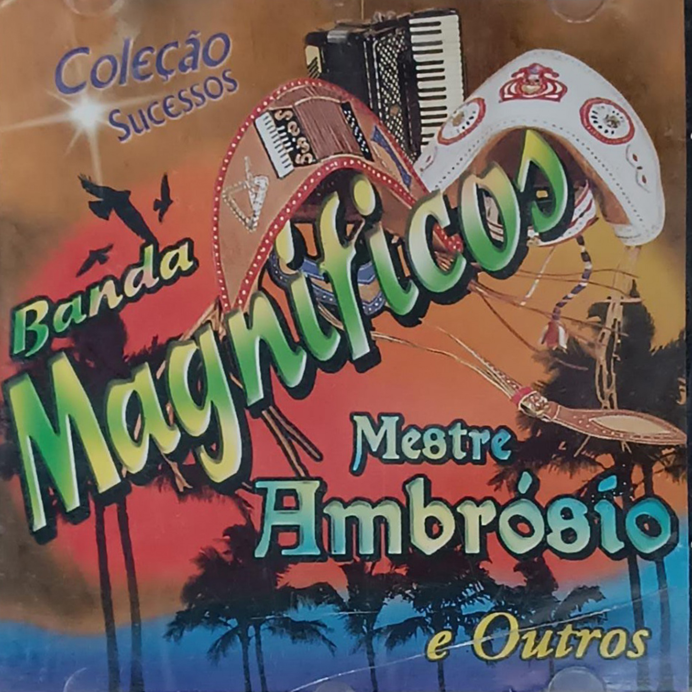 CD - Coleção sucessos - Banda Magnificos