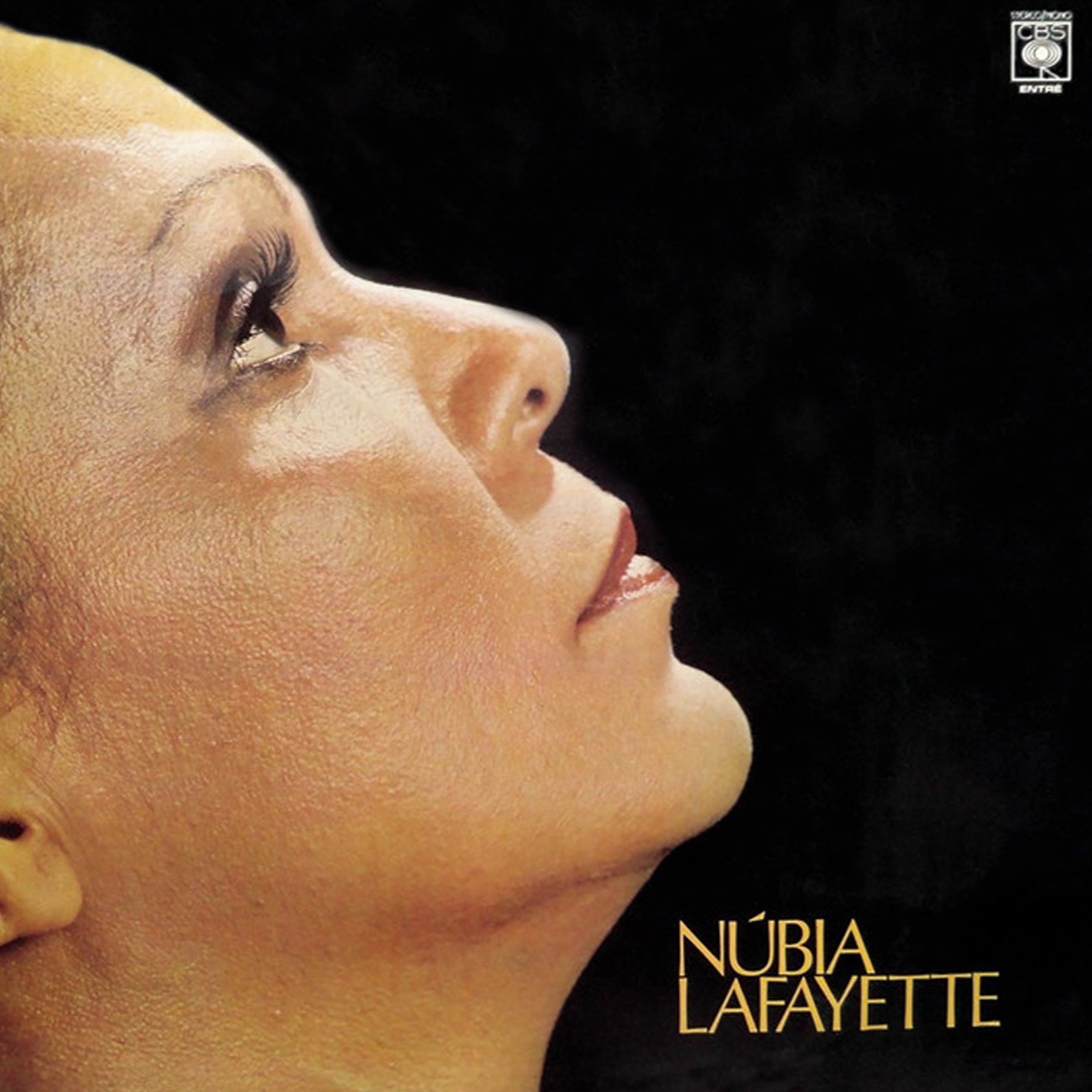 Vinil - Nubia Lafayette - 1977 (Autografado)
