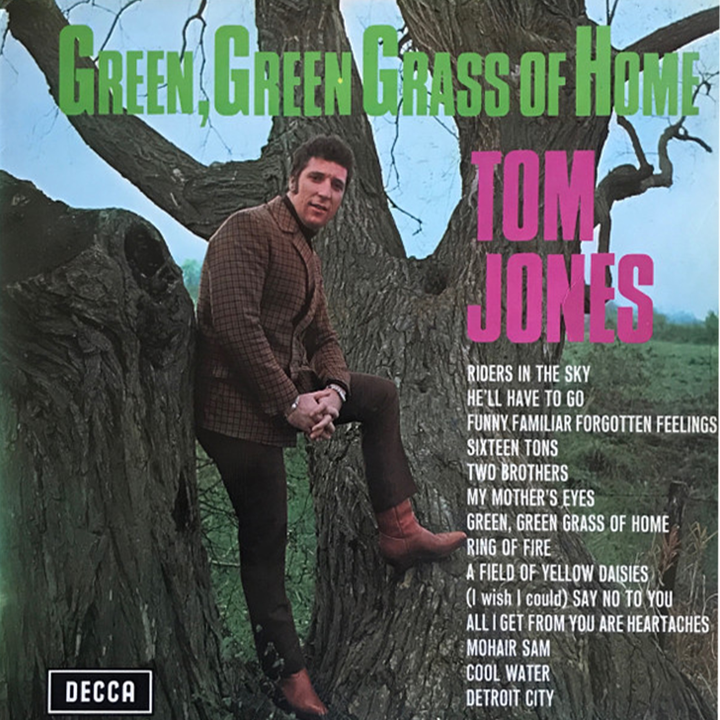 Vinil - Tom Jones - Green, Green Grass Of Home (mono)